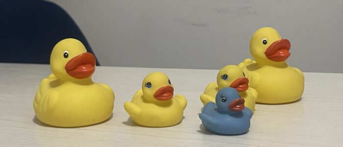 Brutto Anatroccolo e famiglia